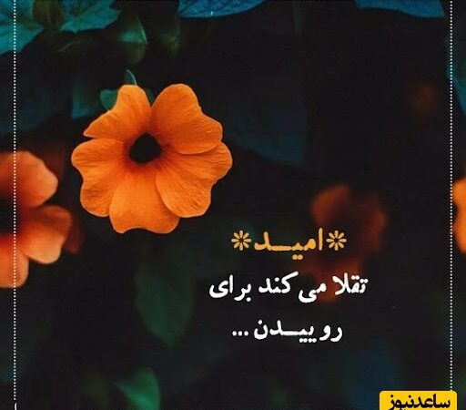 کائنات امروز چه پیامی برایت دارد؟ تجربه احساسات بدون قضاوت و رشد شگفت‌انگیز در لحظات زندگی