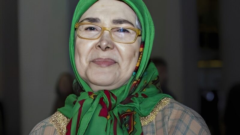 بیوگرافی آفرین عبیسی( بازیگر قبل از انقلاب) از گذشته تا امروز؛ رازهای زندگی و عکس‌های قبل و بعد از عمل هنرمند محبوب سینما+ عکس کودکی