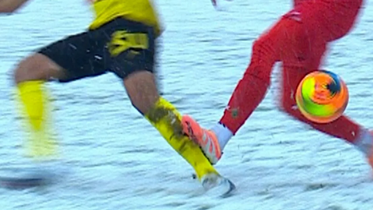 خطای سرگیف روی محمد دانشگر و اخراج از زمین بازی - تصویر شاخص