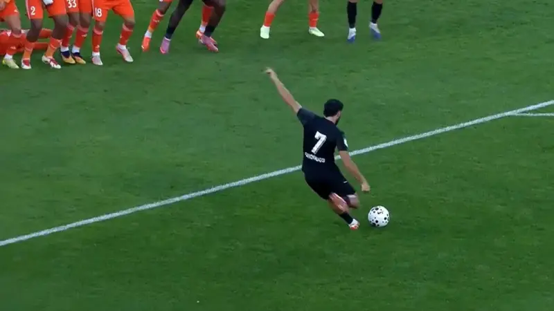 گل اول کلباء به عجمان (کاشته قدوس)