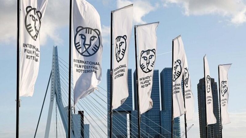 شگفتی جشنواره روتردام ۲۰۲۶: فیلم آفریقای جنوبی جایزه اصلی را ربود!