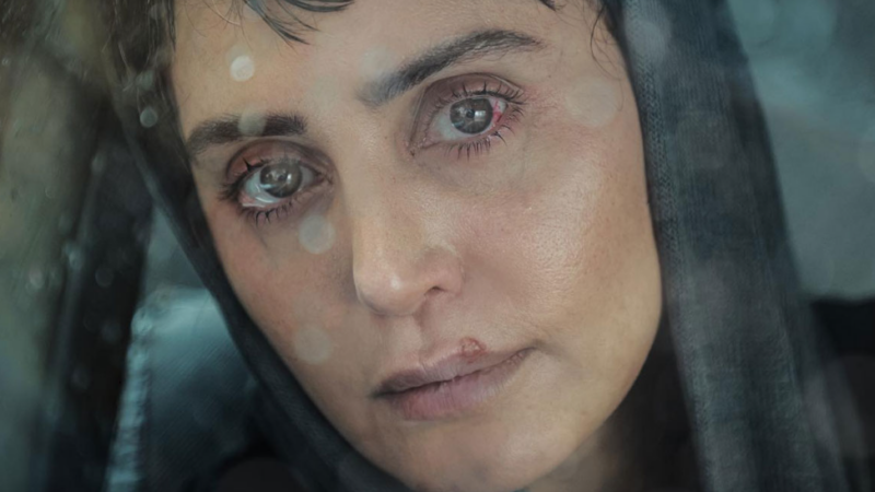 الناز شاکردوست در «آرامبخش»؛ فیلمی که زندگی را دگرگون می‌کند؟