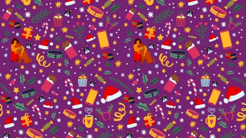 تست بینایی را حل کنید/ آیا می توانید توله سگ دارای کلاه کریسمس را در این تصویر پیدا کنید؟