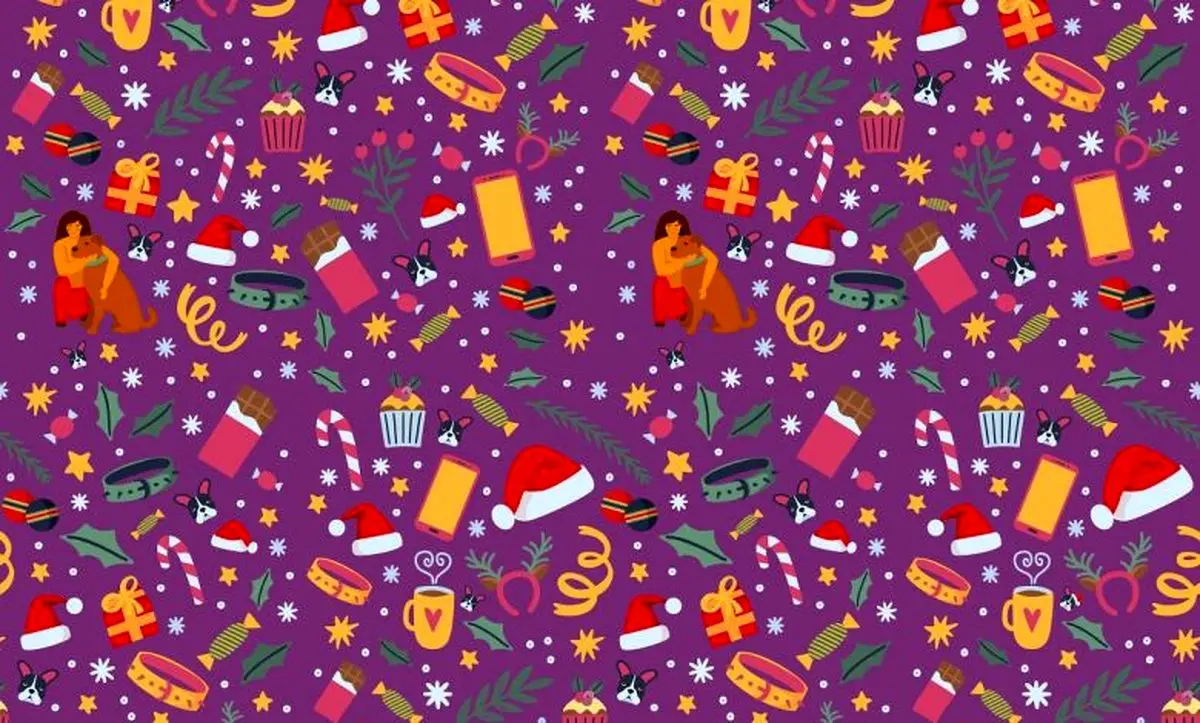 تست بینایی را حل کنید/ آیا می توانید توله سگ دارای کلاه کریسمس را در این تصویر پیدا کنید؟ - اخبار