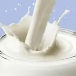 شگفتی ۸ خوراکی که کلسیمشان از یک لیوان شیر هم فراتر میرود - اخبار