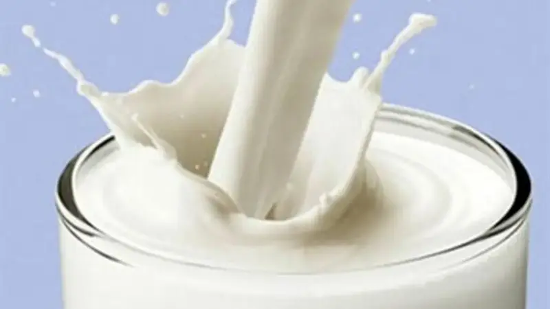 شگفتی ۸ خوراکی که کلسیم‌شان از یک لیوان شیر هم فراتر می‌رود!