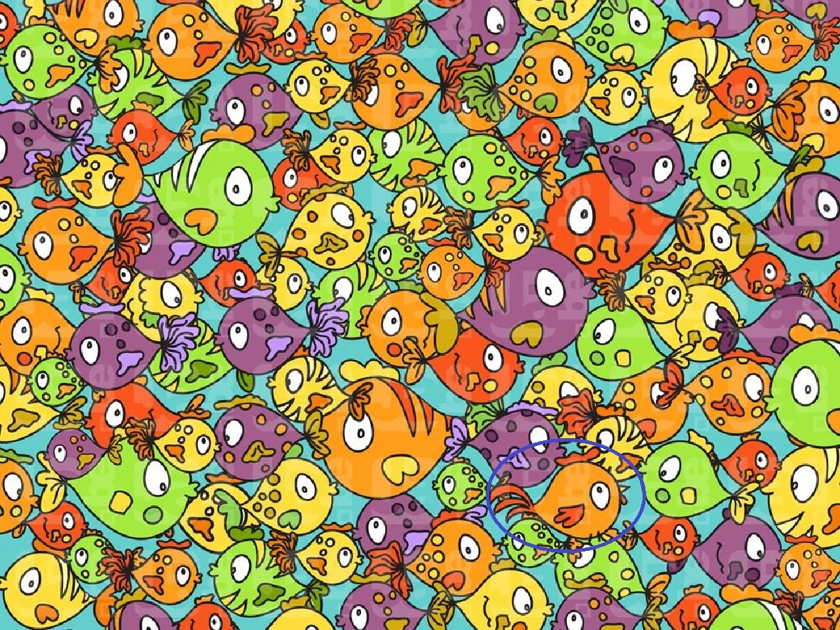 پاسخ تست بینایی یافتن مرغ پنهان میان ماهی ها