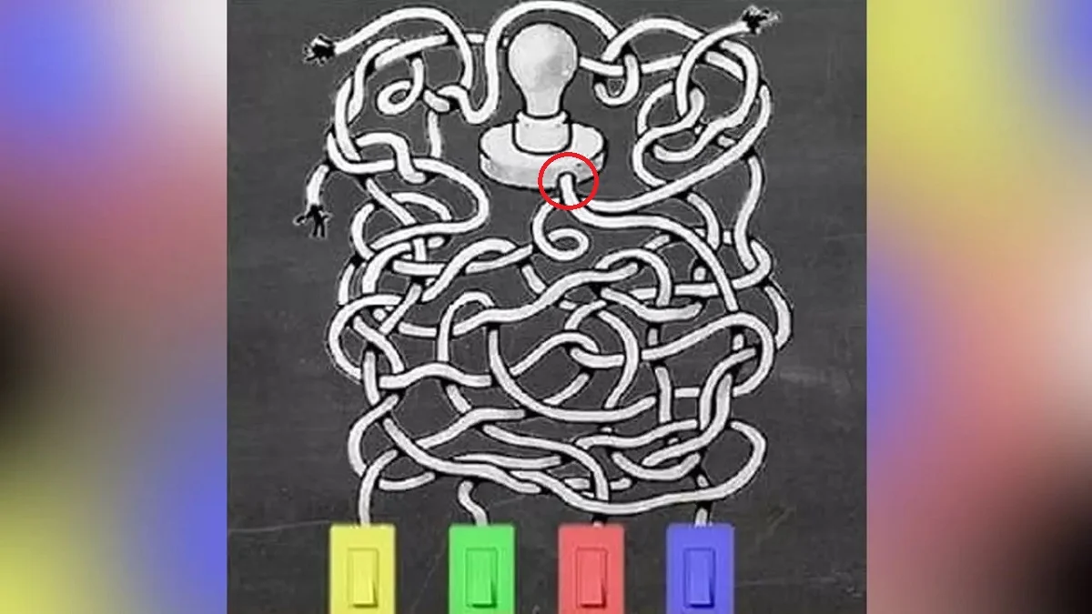 پاسخ تست هوش روشن کردن لامپ توسط کلید رنگی