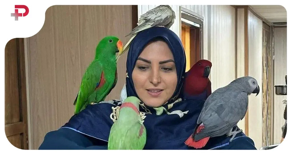 صحبت‌های جنجالی المیرا شریفی مقدم؛ دارایی‌هامون میلیاردی شدن اما پولش نیست - تصویر شاخص