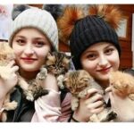 سارا و نیکا پایتخت با سفره لوکس در رستوران لاکچری - اخبار