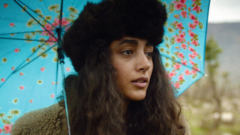 محمدرضا شریفی‌نیا و آرمان درویش: چرا گلشیفته فراهانی را «مرد» خواندند؟/ حمایت جنجالی از مواضع عجیب!