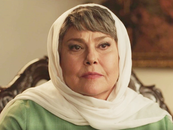 مسیر تازه مهرانه مهین‌ترابی در قاب تصویر/ بازگشت خانم بازیگر با قالبی جدید؛ از بازیگری تا میزبانی - تصویر شاخص