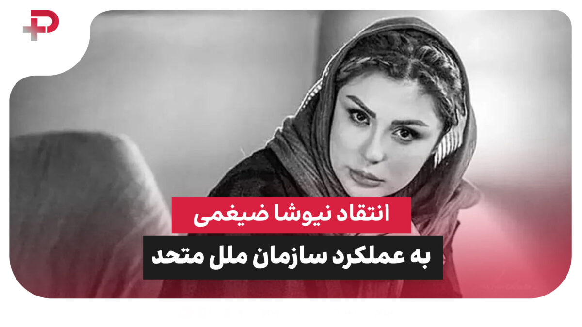 انتقاد نیوشا ضیغمی به عملکرد سازمان ملل متحد