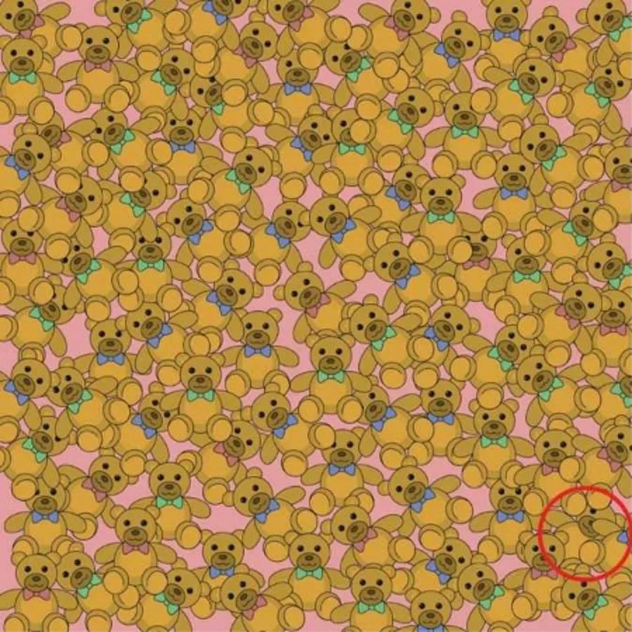 intelligence-test-puzzle08-8