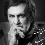 دانلود آواز باشکوه حبیب / ترانه غمگین یکی دلش خواسته با من نباشی