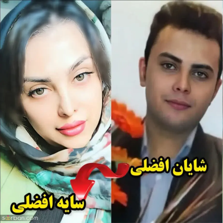 سایه افضلی