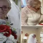 عجیب ترین ازدواج جهان| پیرزن 77 ساله بدون خواستگار بالاخره عروسی کرد