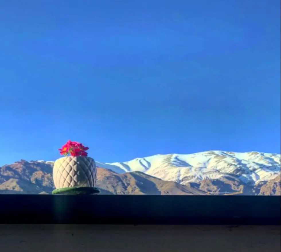 مهراوه شریفینیا