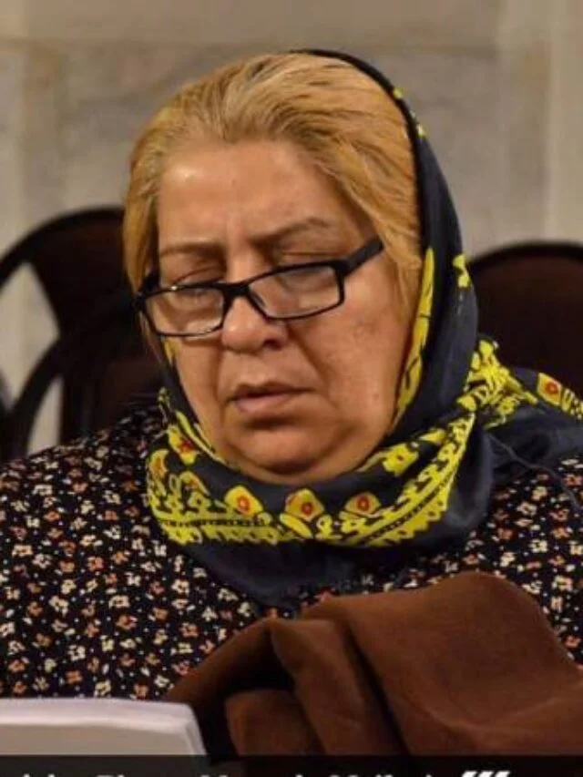 fatemeh-shokri-06
