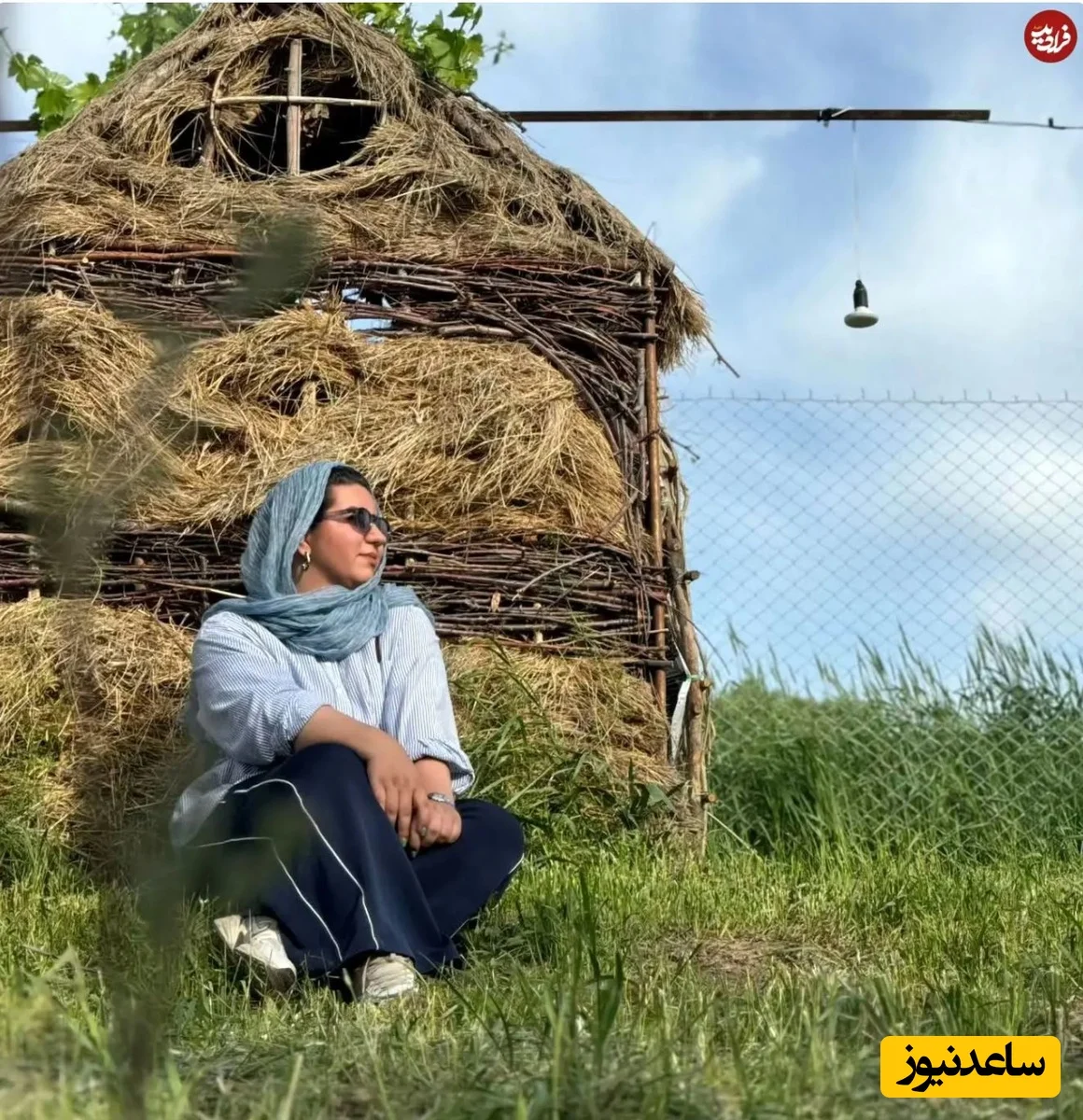 صهبا شرافتی