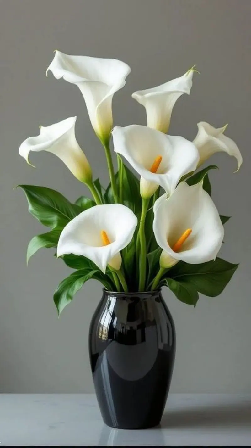 عکسهای گل