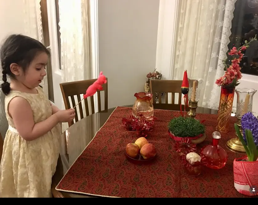 نسرین نصرتی