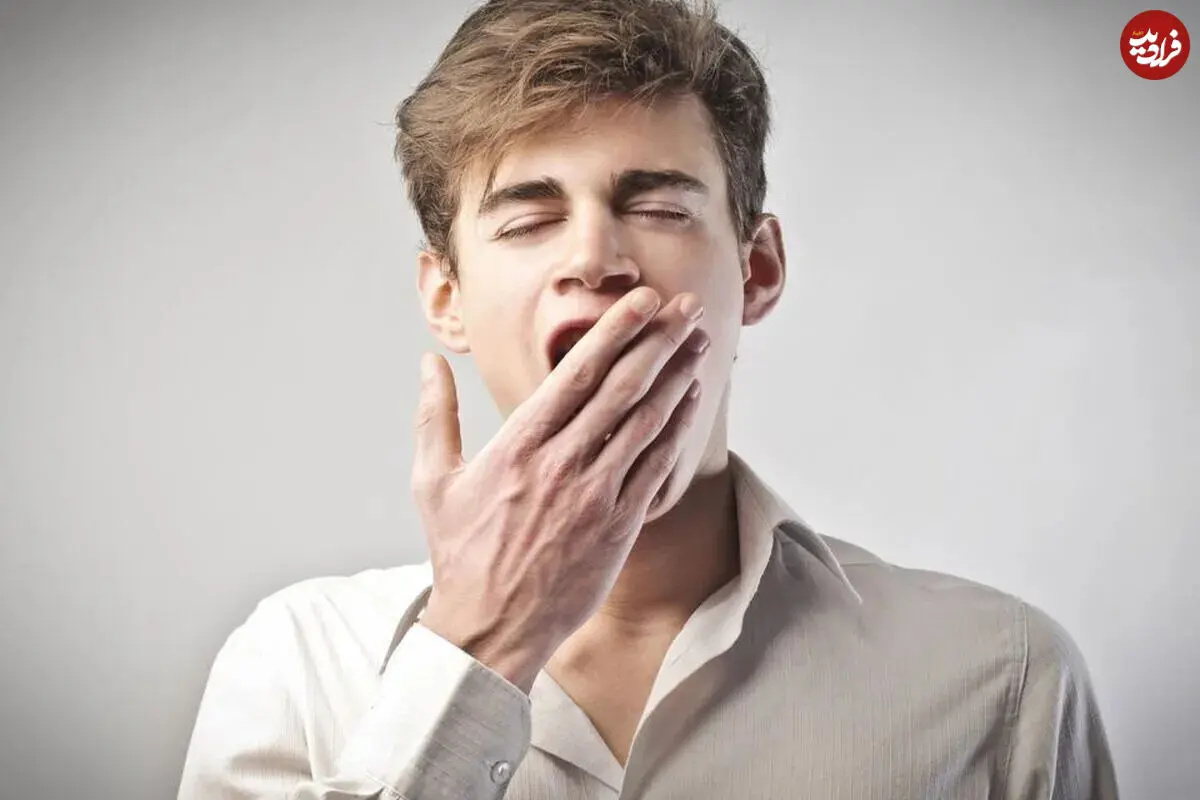 راز علمی خمیازه کشیدن؛ چرا این واکنش ساده تا این حد مرموز است؟ - تصویر شاخص