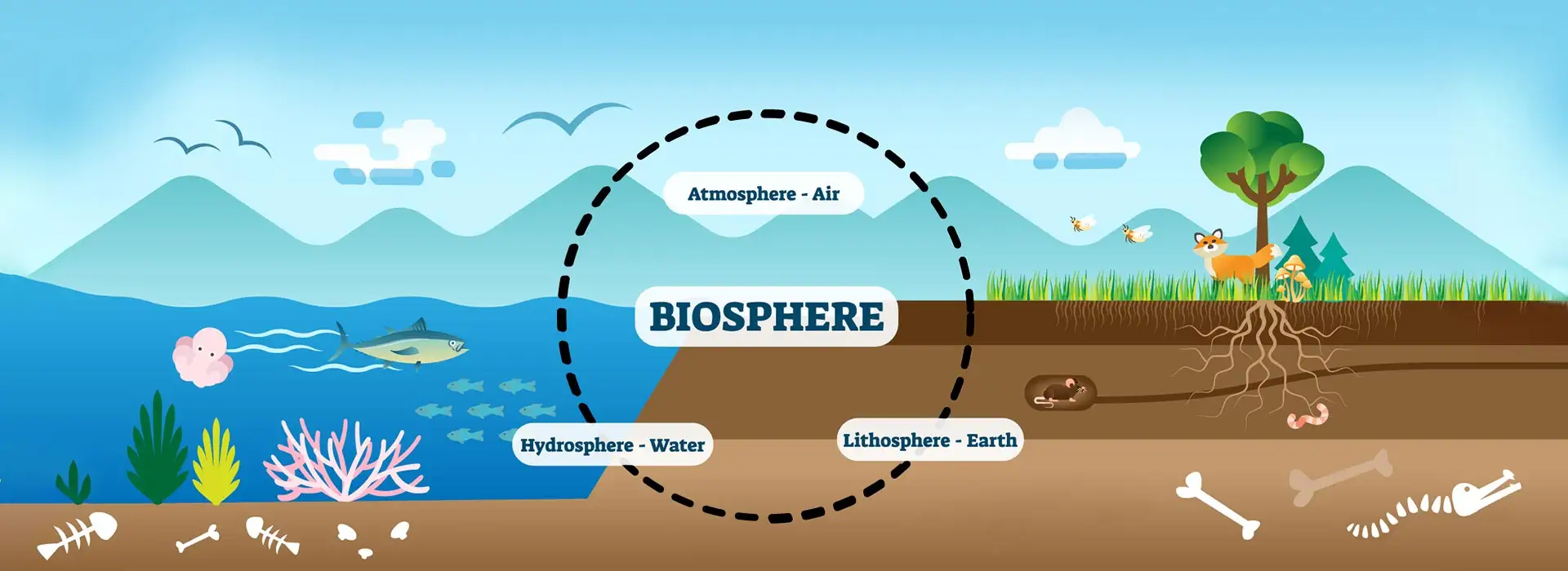 Cross-section diagram of Earth showing atmosphere (air), hydrosphere (water), and lithosphere (earth) labeled BIOSPHERE (educational image).**