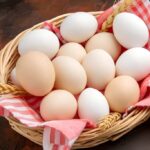 خوردن روزانه یک تخم‌مرغ؛ راز سلامتی بدن که کمتر به آن توجه شده است!