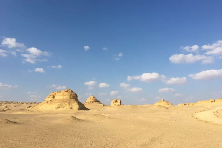 egypt-western-desert-768x512 شواهدی از کوسههای باستانی در دل صحرای مصر کشف شد | پلاس و به نقل از دیجینوی