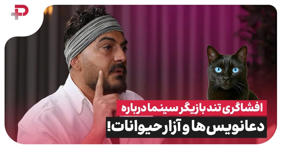 نیما شاهرخ شاهی: چه حقی دارید دست و پای گربه‌ها را ببرید؟