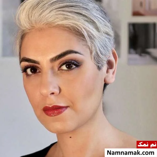 زندگینامه محسن نامجو و همسرش بیوگرافی بهار سبزواری همسر محسن نامجو