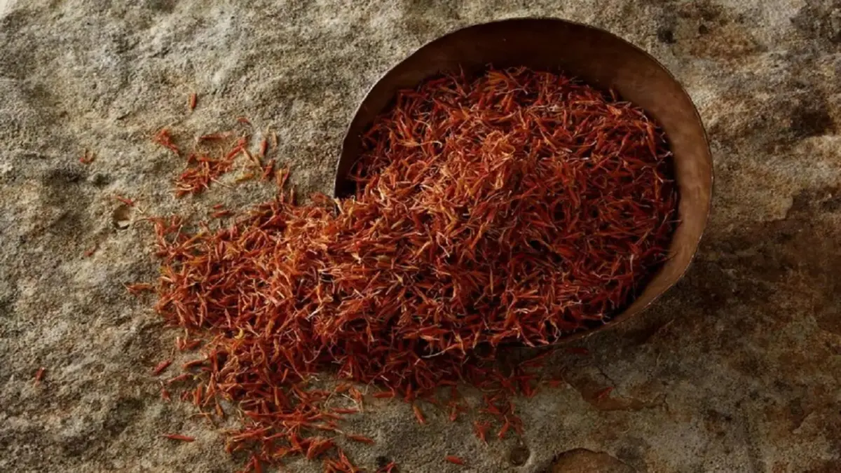 زعفران گران‌تر می‌شود؟ نایب رئیس شورای ملی زعفران از افزایش قیمت خبر داد!