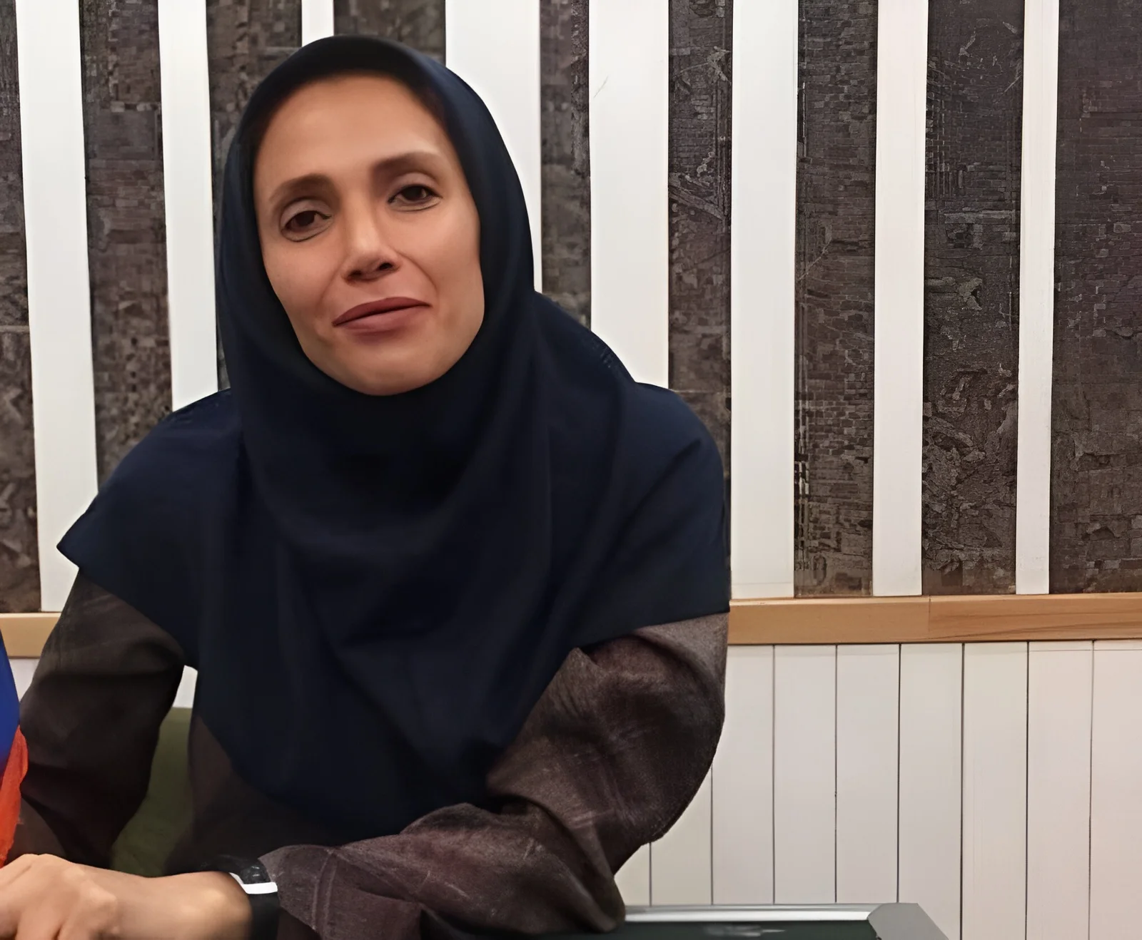 نیلوفر حدادی دوبلور
