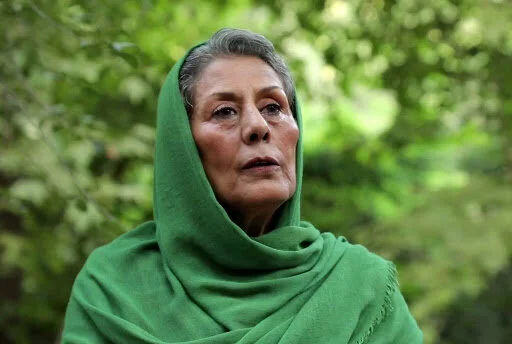 مهوش افشارپناه به بهانه روز ملی سینما مروری بر بازیگرانی که از سینما دور شدند