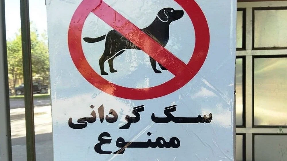 درگیری بر سر سگ‌ گردانی در سعادت‌آباد به قتل مرد ۳۹ ساله ختم شد