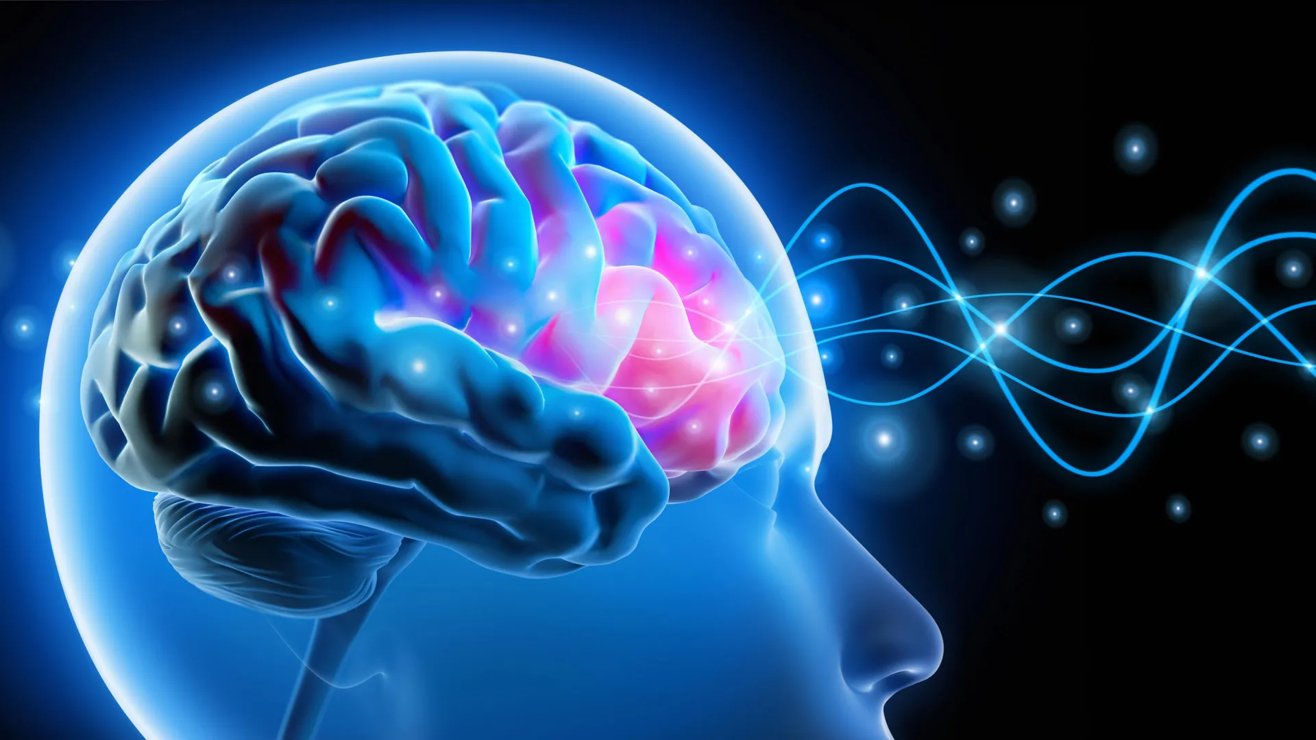 head-brain-waves-neural-activity-signals دانشمندان سیناپسهای مغز را حذف کردند، اما خاطرات بهطرز عجیبی همچنان باقی ماندند! | پلاس و به نقل از دیجینوی