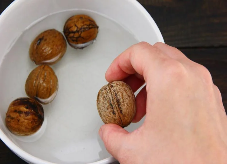 walnut
