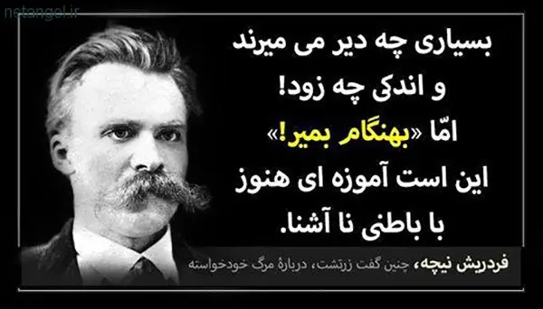 بیوگرافی نیچه - زندگینامه نیچه بیوگرافی نیچه - زندگینامه نیچه