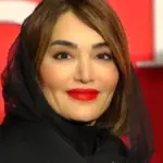 بیوگرافی سولماز حسینی همسر بازیگر کارگردان مشهور/ سریال شغال اوج نقطه پرواز خانم بازیگر