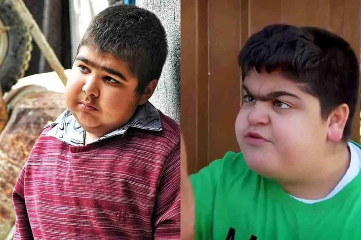 حمیدرضا حافظ شجری